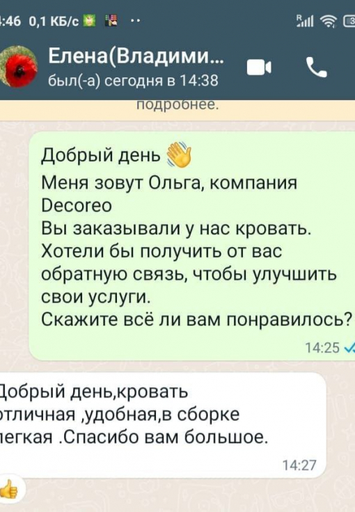 Отзыв клиента о Decoreo